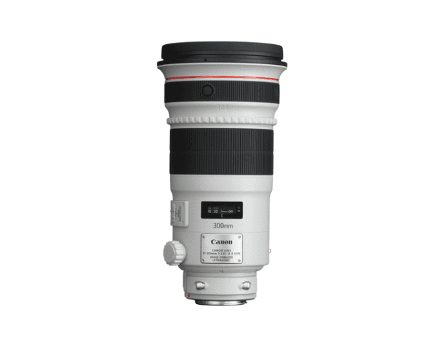 Canon EF300mm F2.8L IS II USM-2